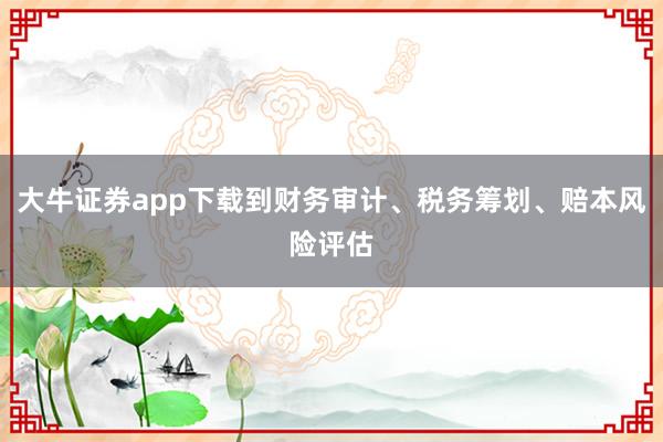 大牛证券app下载到财务审计、税务筹划、赔本风险评估