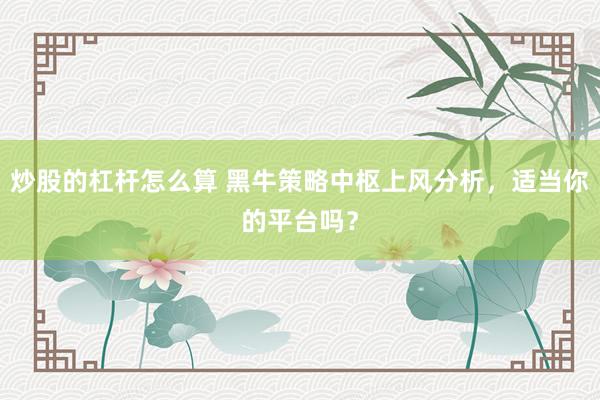 炒股的杠杆怎么算 黑牛策略中枢上风分析，适当你的平台吗？