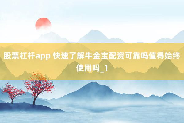 股票杠杆app 快速了解牛金宝配资可靠吗值得始终使用吗_1