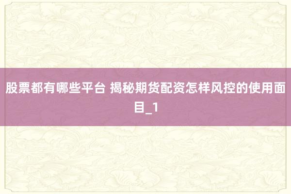 股票都有哪些平台 揭秘期货配资怎样风控的使用面目_1